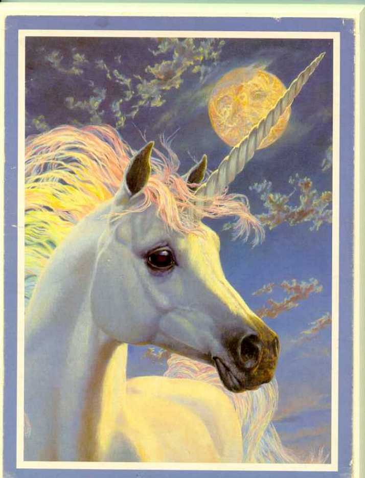 Unicorn, artist unknown
