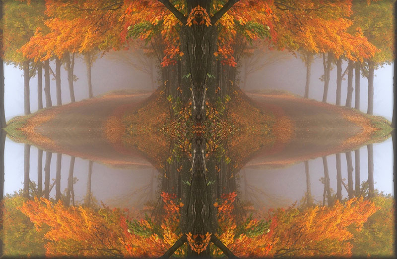 AutumnAngel