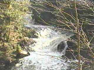 Carp River Falls, overall