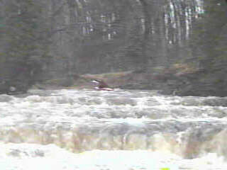 Barking Dog Rapids