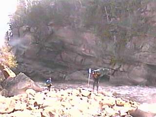 the canyon