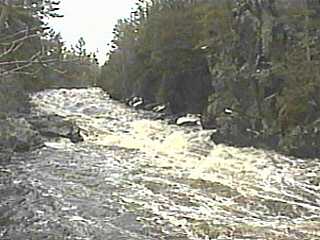Horserace Rapids