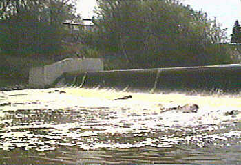 dam_in_Cato_(Upper_Cato_falls)