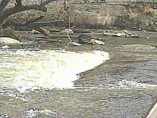Waubeka Wave