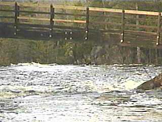 footbridge above Dave's