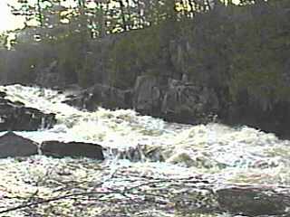 looking up Dave's Falls