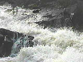 Dave's Falls