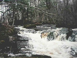 typical falls