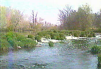 ledge ("Falls") at Kvitek Road (below minimum level)