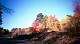 Fall2000Trees.jpg