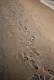 FootPrints In The Sand