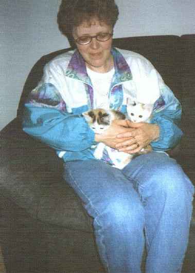 Hepsu&Kitties