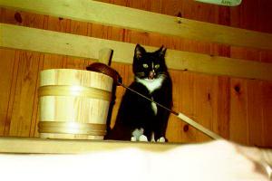 Miiru in sauna 1