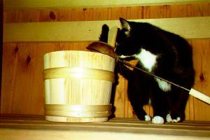 Miiru in sauna 2