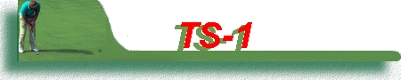 TS-1 Banner