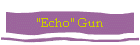"Echo" Gun
