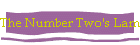 The Number Two's Lament