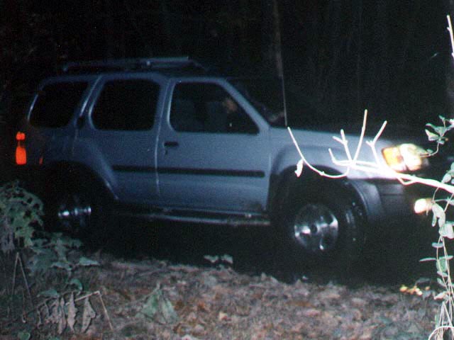 x1.jpg (52333 bytes)