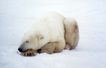 sleep2