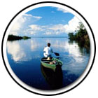 Canoeing in the Amazon