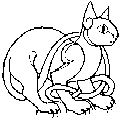 Cat in the corner