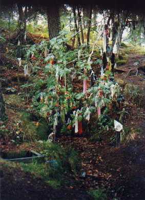 An irish well with a nearby tree decorated with rags from ill people 