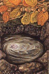 salmon in the well with hazelnuts 