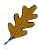 oak 