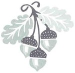 Acorn