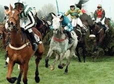 Horse Racing
