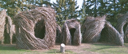 TWIG-ONOMETRY: A large walk-through scuplture made this spring at Carleton from non-native scrub trees taken out of the Arboretum's Oak Savanah and expected to be on display for about one year.
