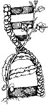biotech