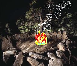 Campfire in the woods