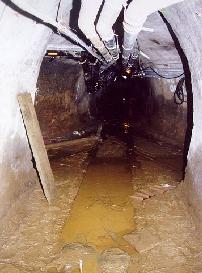 A slimy gross tunnel, just like under Carleton