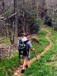 long and winding road of the pilgrim.  Taken of student walking in the lowest reaches of the arb near the iron bridge.