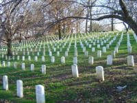 Arlington Cemetary near DC, picture by Mike, notice the arboreal beauty