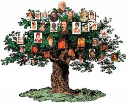 family tree of ancestors