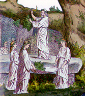 druids