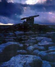 druids