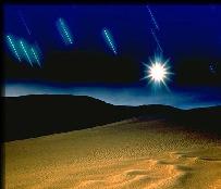  Star fall on the beach