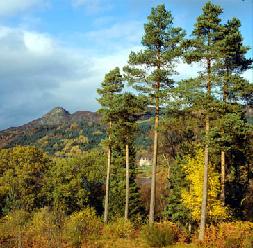 Ben Arden in Autumn