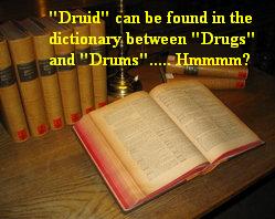 Dictionary doesn't tell everything you need to know about Druids.
