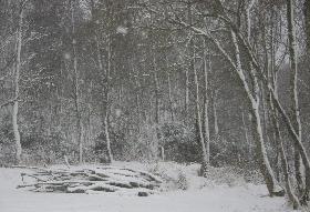Wintry Scene