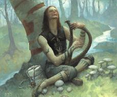 A bard in the woods