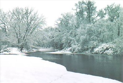 The mighty cannon river running down the center of the lower arboretum valley.