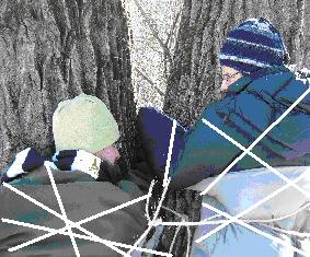 Technically, I asked Stephen to have them bound on opposite sides of the tree, and use more rope, but hey, you do what you can on a shoestring budget, right?