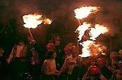 These are dried mullein-stalk torches that are used by Carleton Druid, by coating them in wax.  They don't last very long, maybe a half hour. Flashlights just don't imply the same sense of barely restrained desire to destroy as the potentiality of a burning torch.