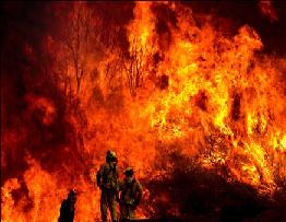  Prairie Fire  