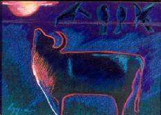  Bull by light of the storm