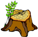 Stump with new life sprouting forth
